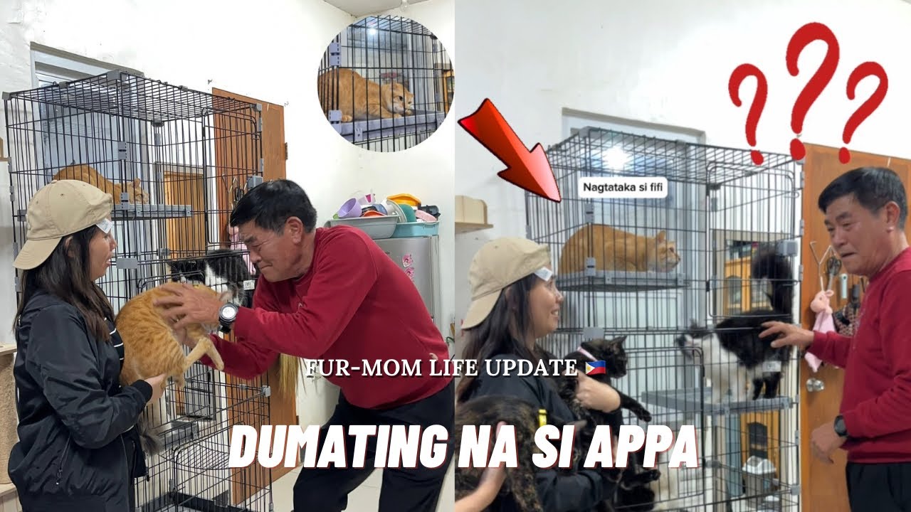FUR MOM LIFE UPDATE 🇵🇭 | DUMATING NA SI APPA 😻