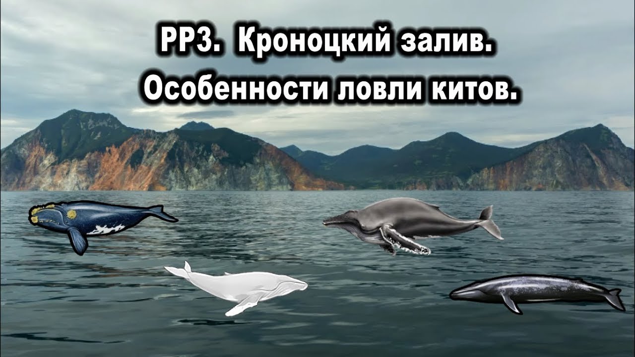 Русская рыбалка 3. Прокачка на Кроноцком заливе. Особенности ловли китов.
