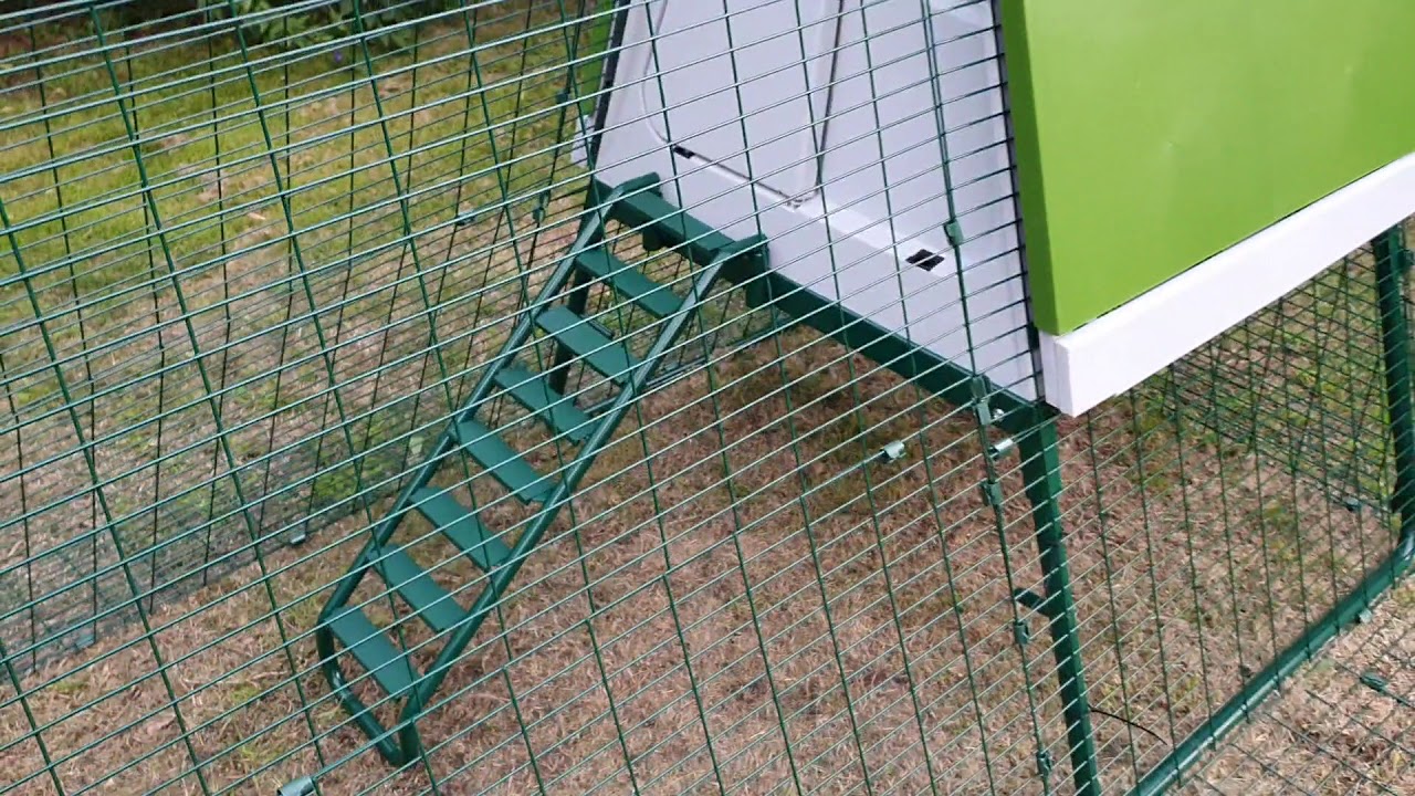 Eglu Omlet Chicken Coop and Run Review