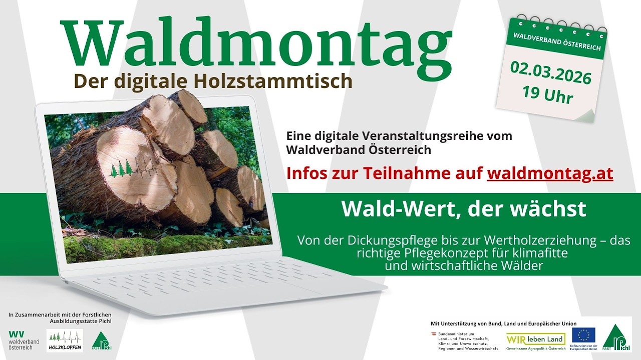 20260302 Wald - Wert der wächst