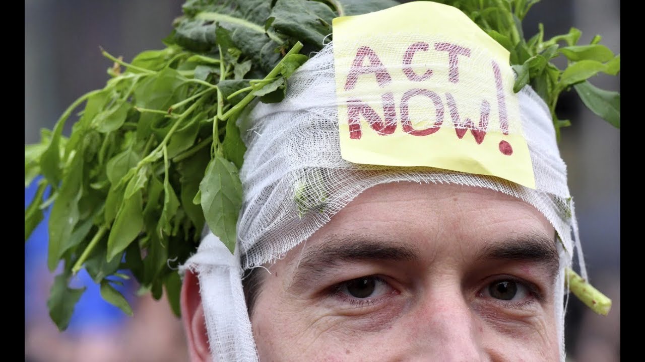 The Hindu Explains: Why is COP 24 climate talks in Poland important?