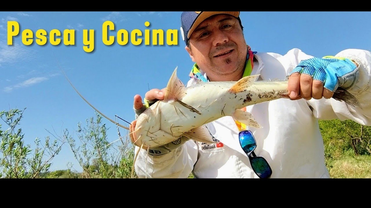 Teníamos el Dato 😱 MONCHOLOS GIGANTES - Pesca y Cocina 🔥