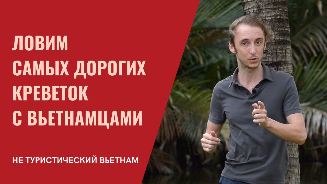 Ловля диких тигровых креветок во Вьетнаме с местными жителями