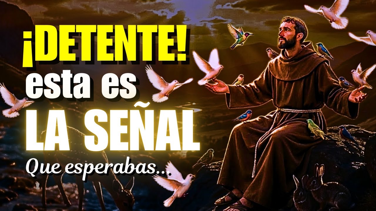 San Francisco Revela la SEÑAL que Cambia tu Confusión en CLARIDAD