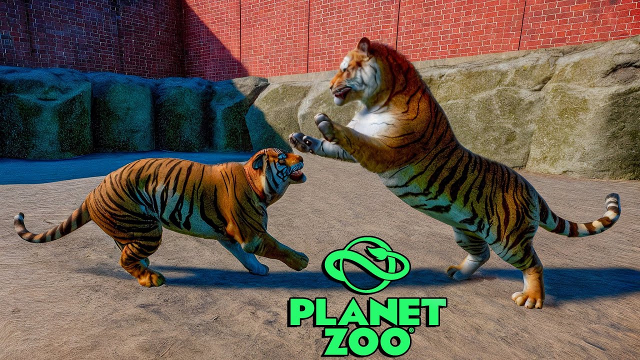 BENGAL KAPLANI vs SİBİRYA KAPLANI / İKİ YIRTICI AYNI YERDE OLURSA NE OLUR ? | PLANET ZOO