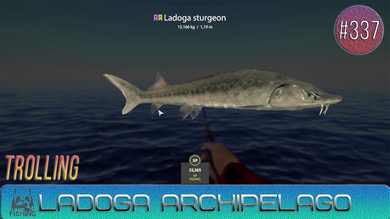 Russian Fishing 4 - Ladoga archipelago - Trolling - #337
