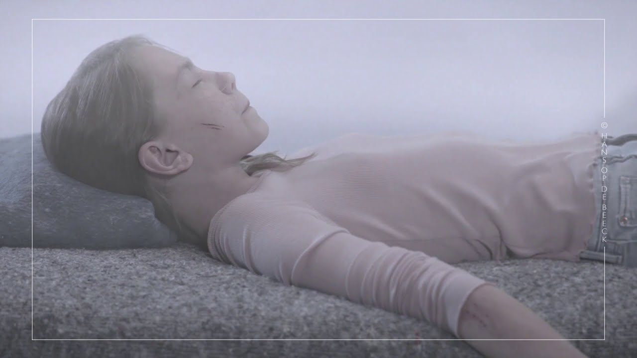 Hans Op de Beeck - The Girl