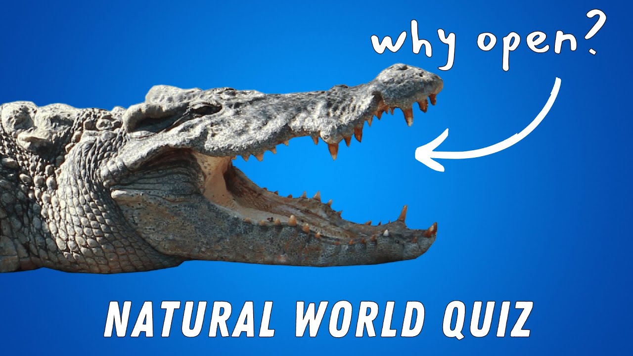 NATURAL WORLD QUIZ QUESTIONS - How Many Can You Answer?