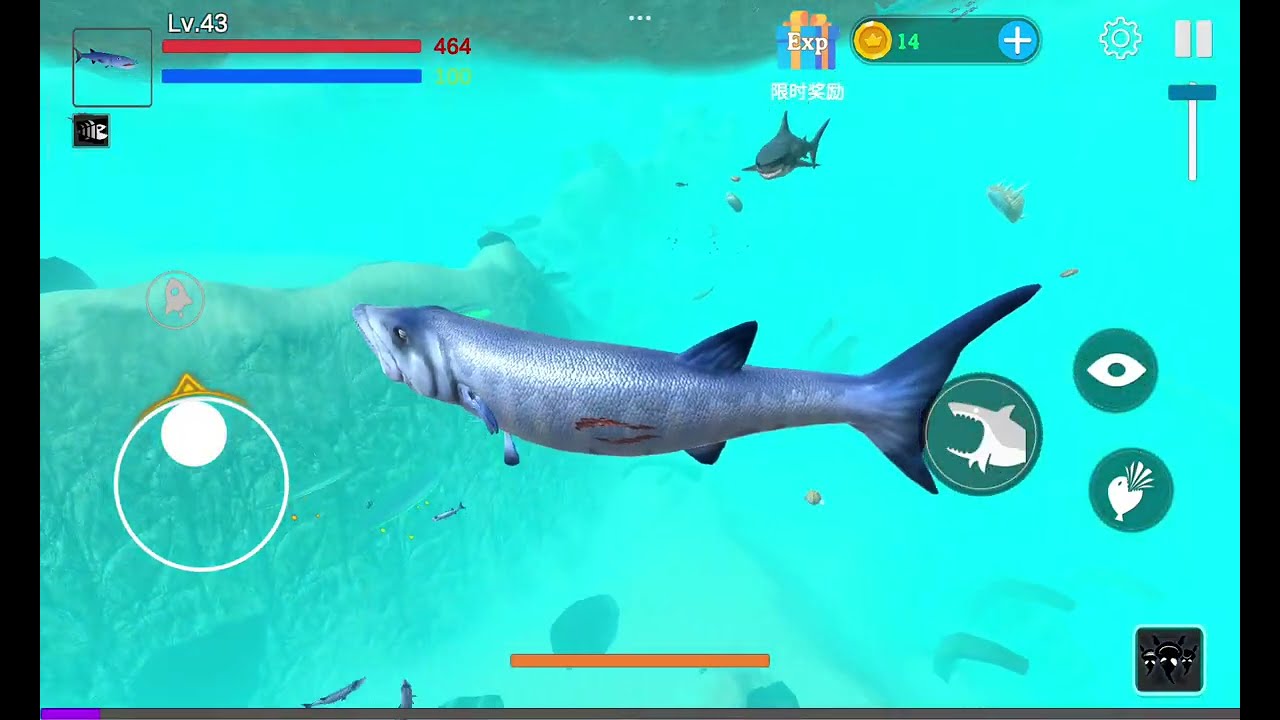 Barracuda Boss ! ( Feed And Grow Survivor )