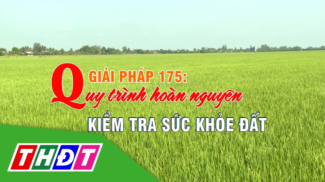 Nông nghiệp đột phá | Kỳ 14 - Giải pháp 175: Quy trình hoàn nguyên kiểm tra sức khỏe đất | THDT
