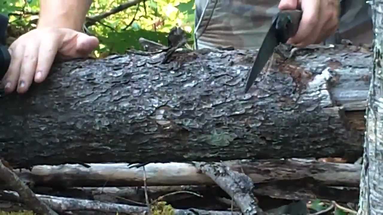 Bahco Laplander vs Sawvivor vs Pruner.