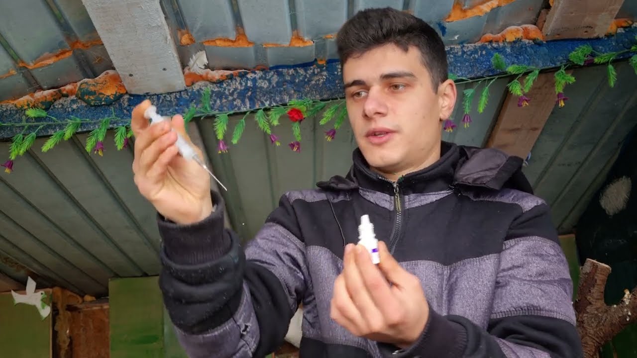 La Sota ,🐦porumbei ornament  ,pas cu pas cum se face ,voi l-ați făcut ❓️,tratament de iarna ‼️