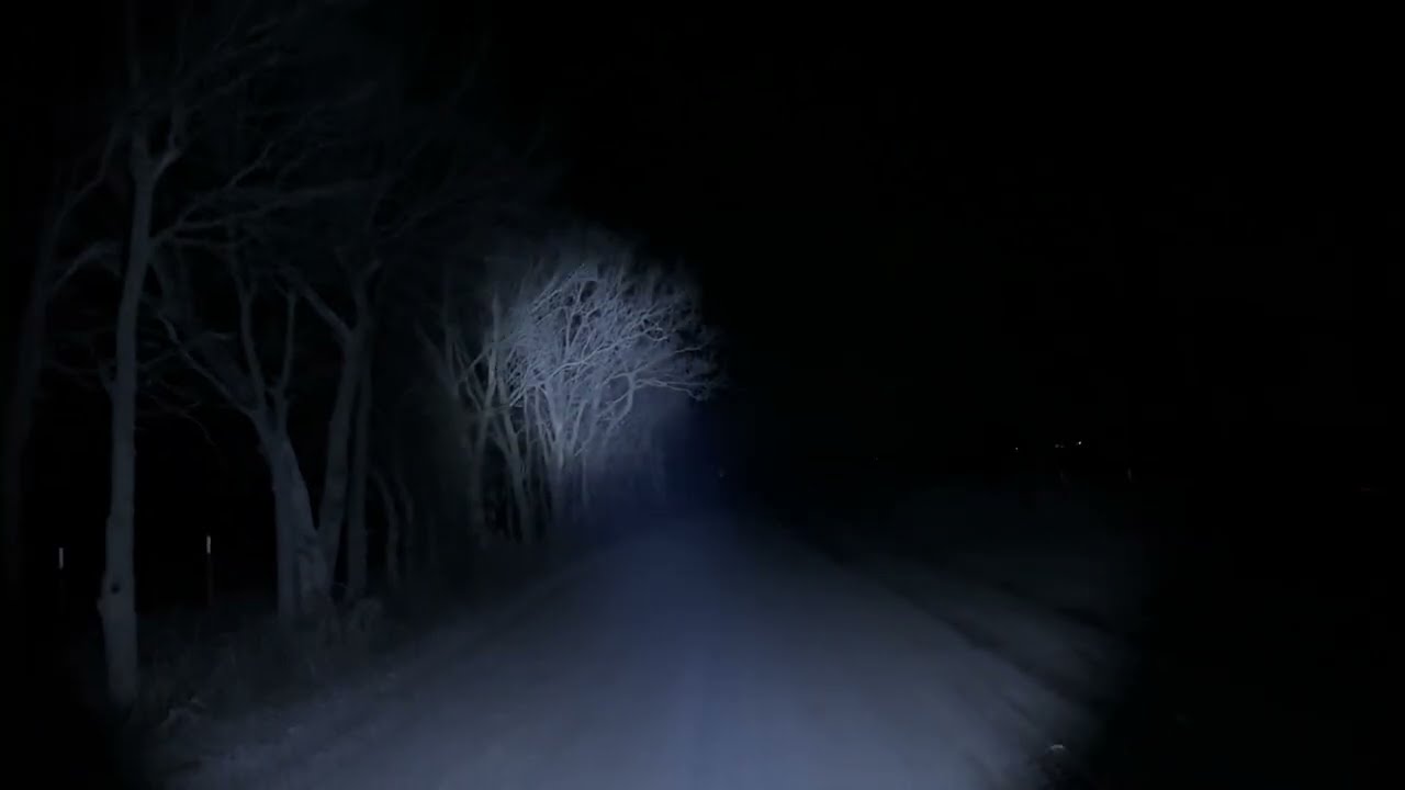 DARKFANG 1450 Lumen Tactical Flashlight with Green Laser | Link in Description