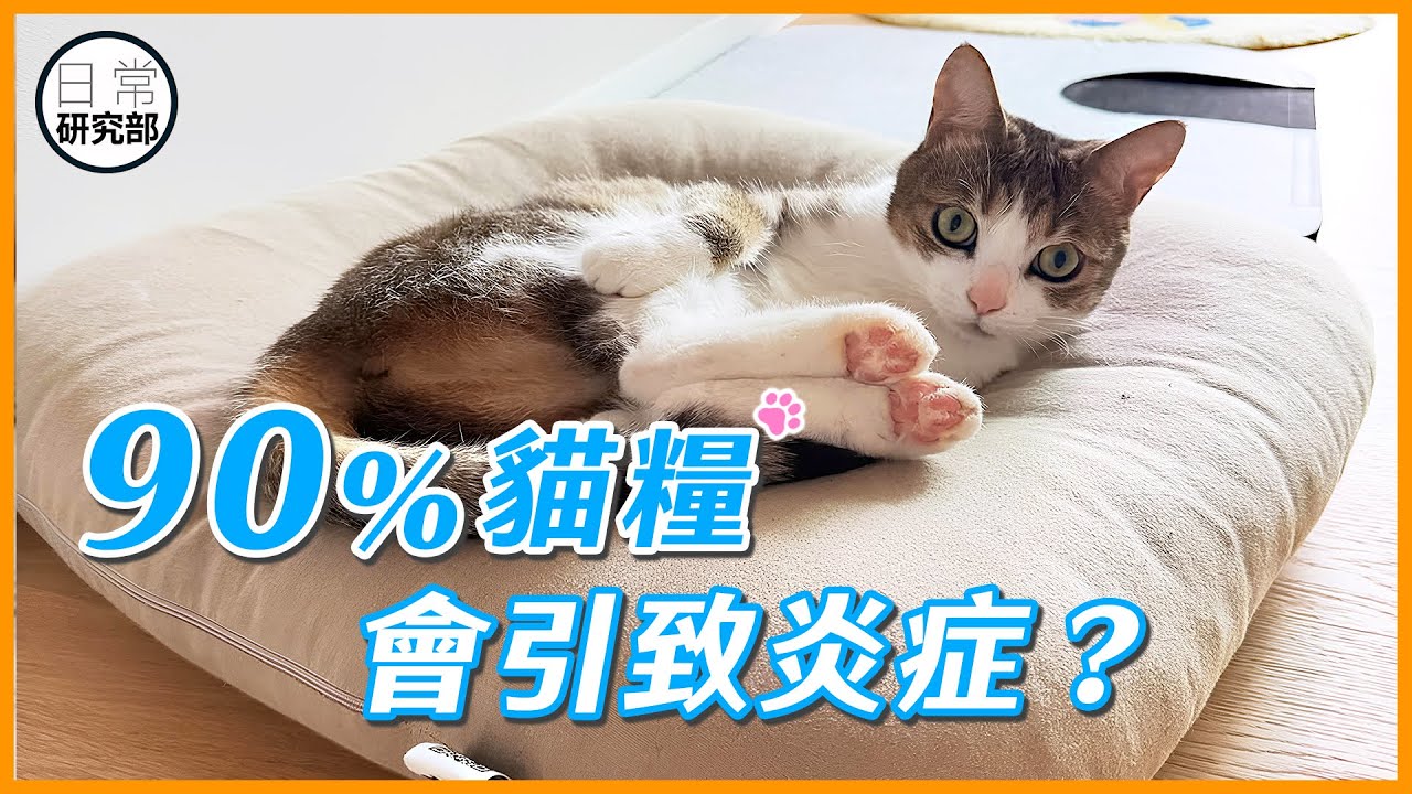 貓糧引致發炎、癌症？｜食品標籤暗藏魔鬼細節！