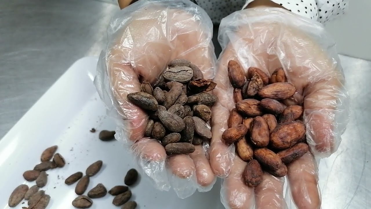 TOSTADO DE CACAO