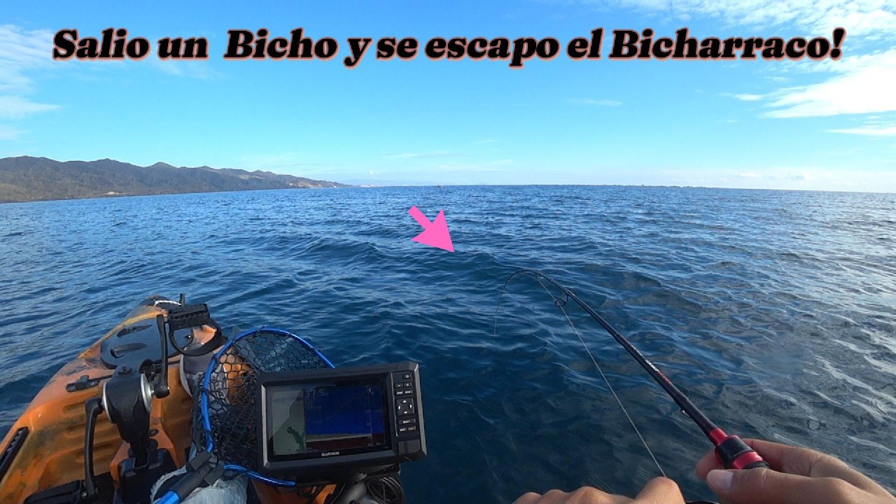 Pescando en aguas calmas! y se escapo un buen Bicho!