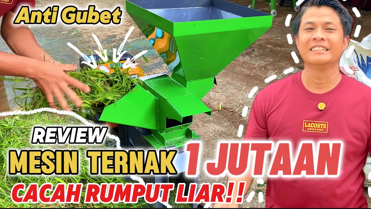 MESIN TERNAK 1 JUTAAN SUDAH ANTI GUBET‼️Tes Cacah Rumput Liar
