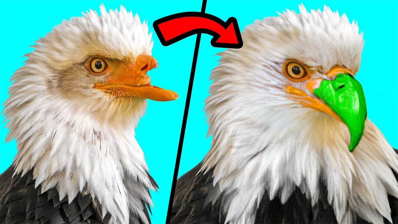 When 3D Printing Gives Animals A Second Chance