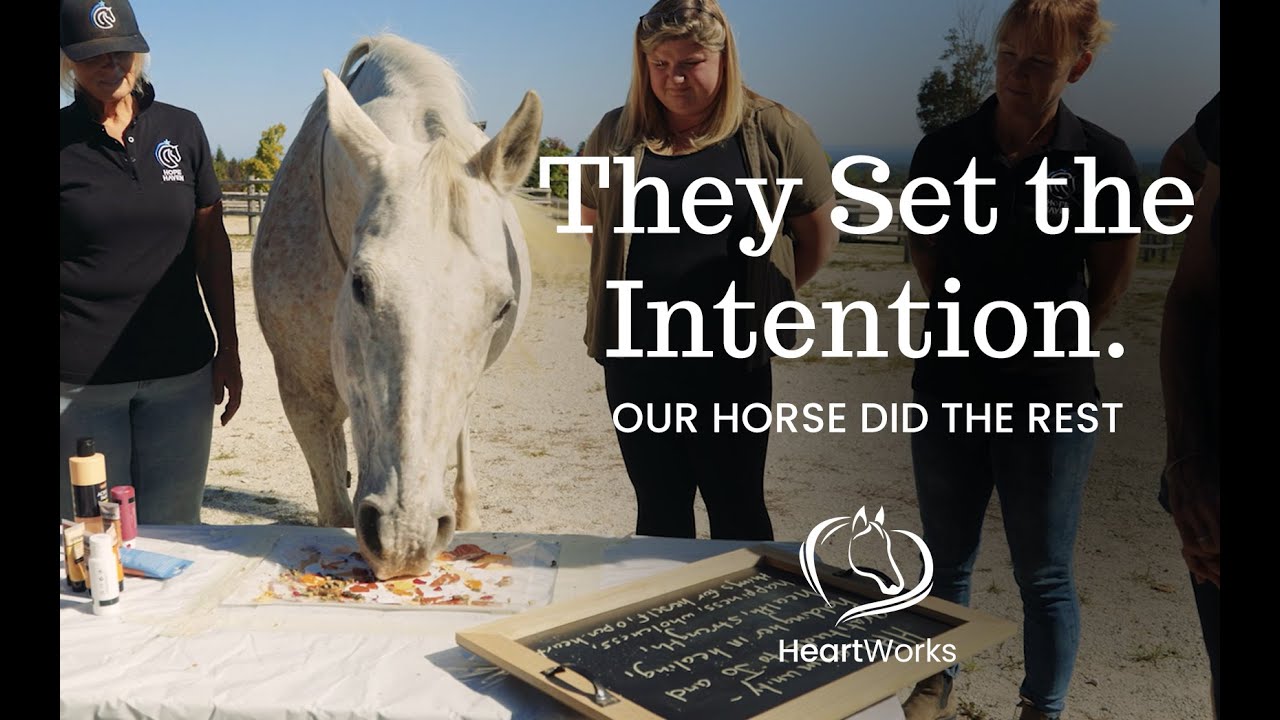 Watch What Happens When a Horse Paints for Someone | Hope Haven Part 2
