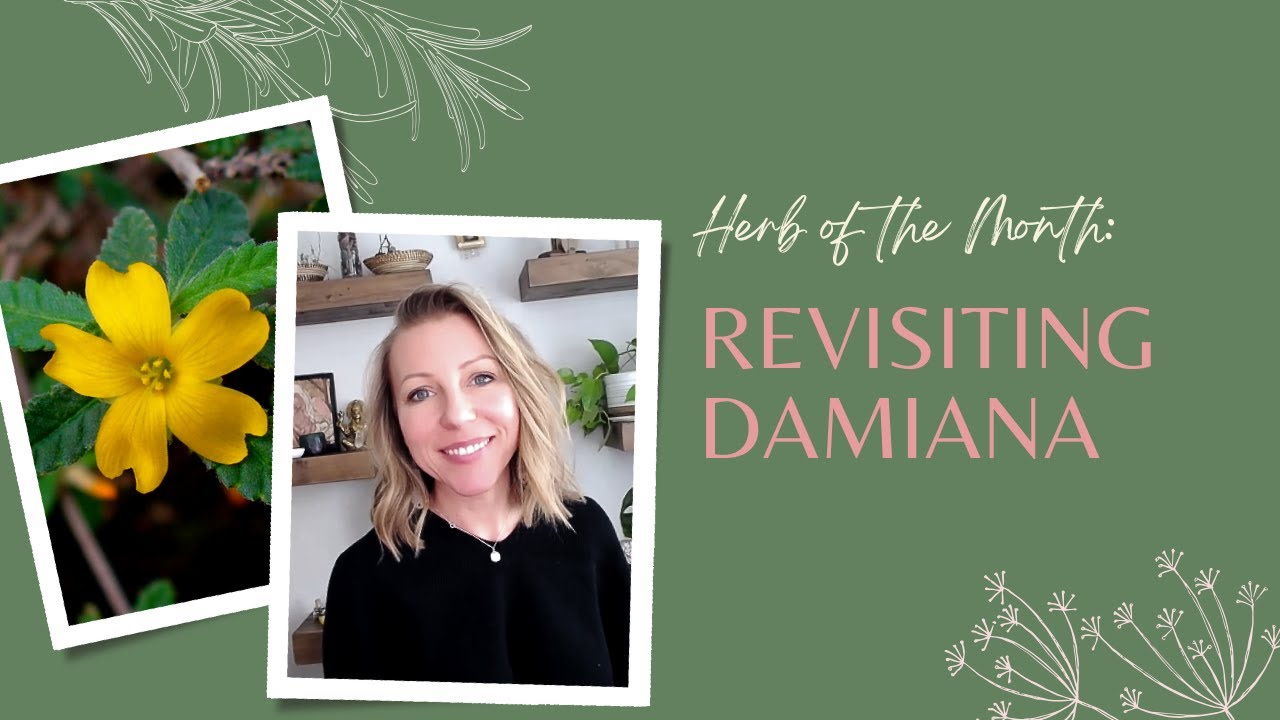 Herb of the Month: Revisiting Damiana | Ashley Elenbaas