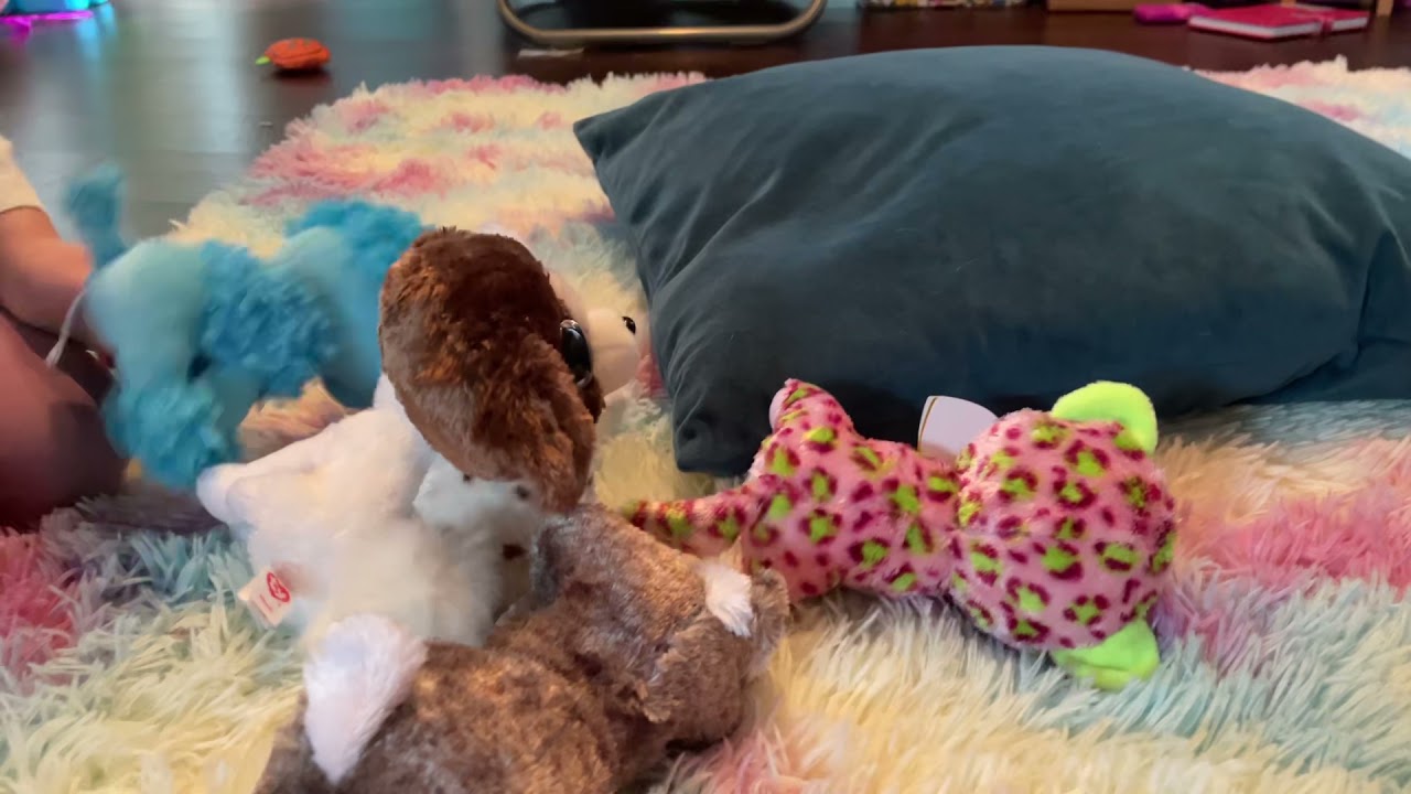 Beanie Boo Sleepover Funny Skit #beaniebabies #beanieboos #funny