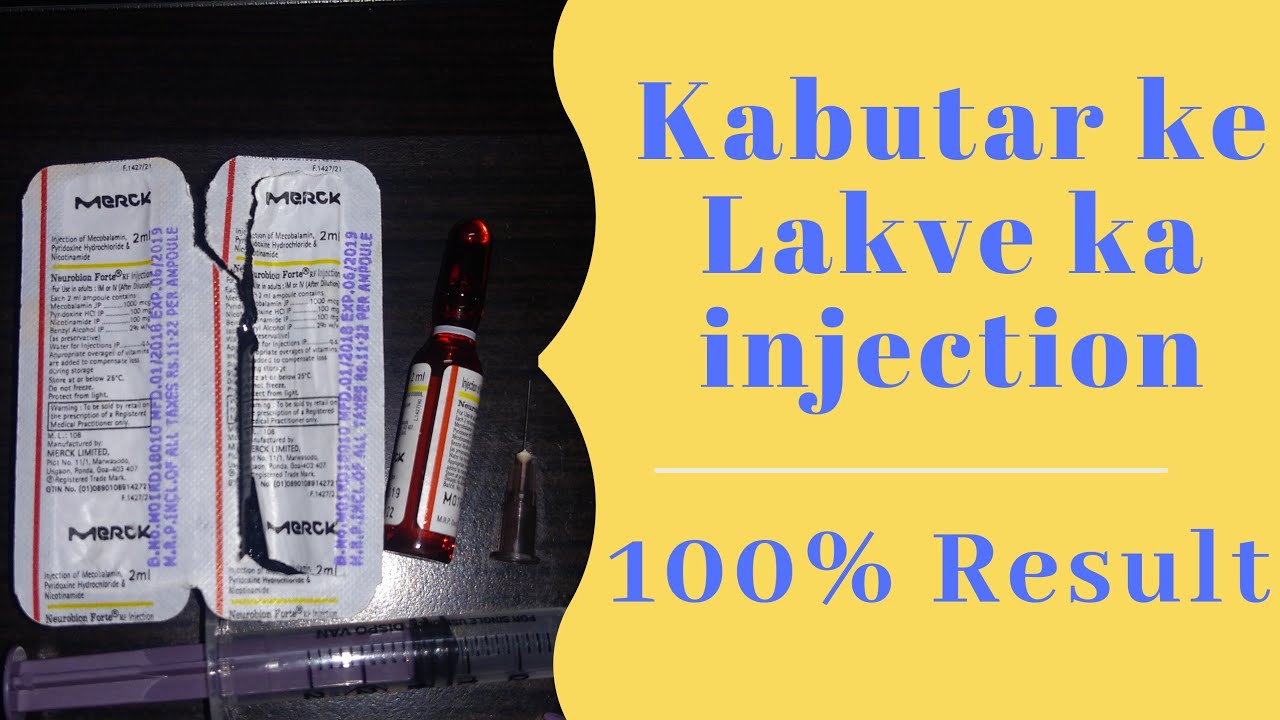 Kabutar ke lakve ka ilaj injection ke dwara 100% work,