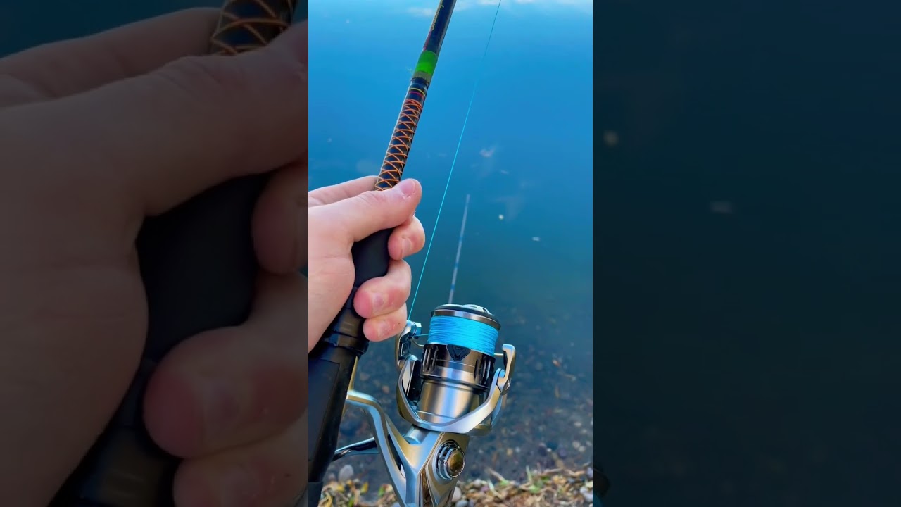 BIG Fish Rips Out Drag From New Reel!!! 