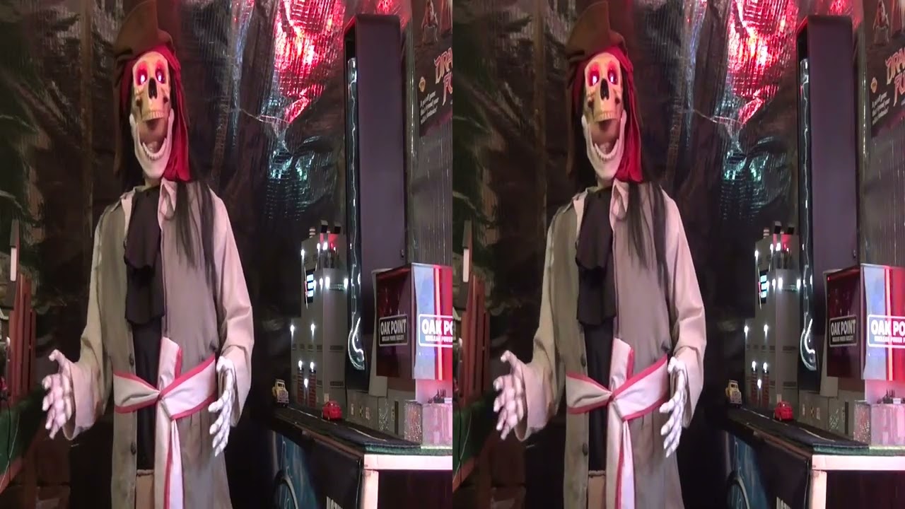 3D DANCING PIRATE SKELETON   Gemmy Animatronics - Side by Side 3D