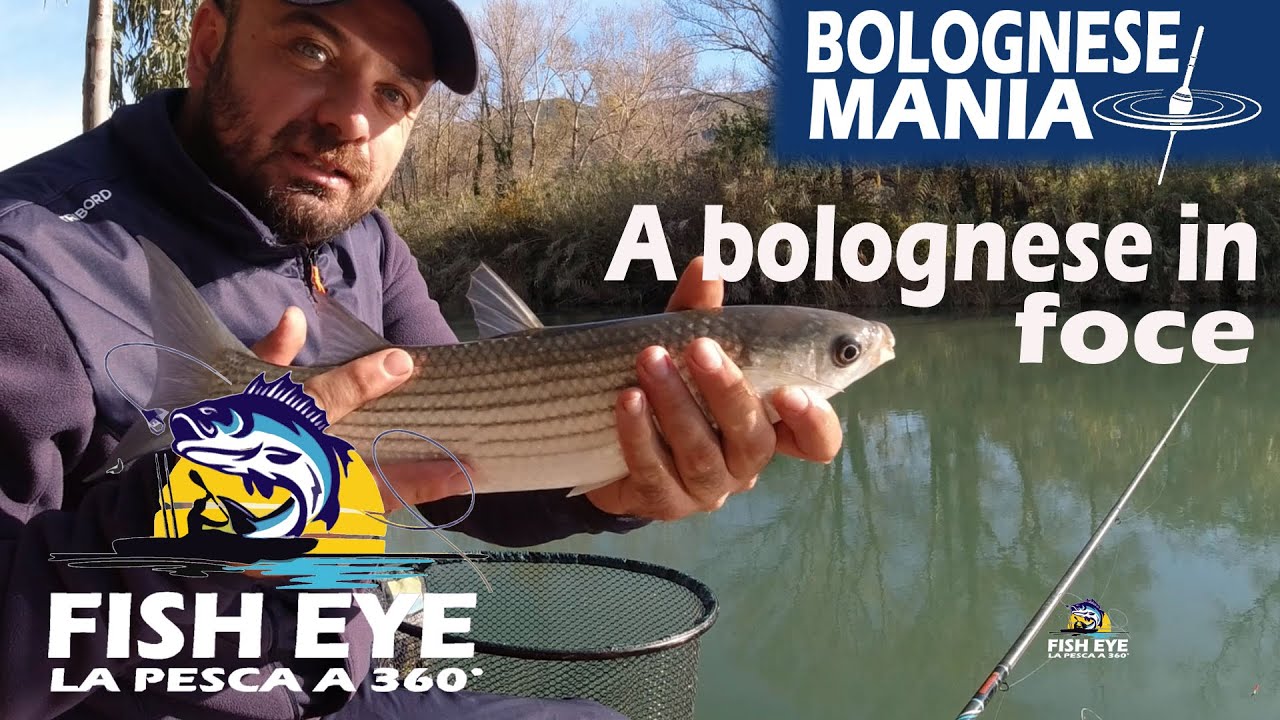 Pesca a bolognese in foce