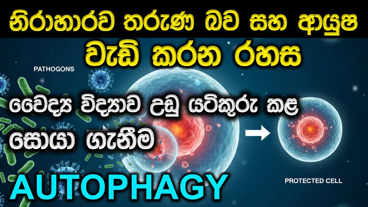 කෑම නොකා ලෙඩ සුව කරන විශ්මිත රහස | Autophagy Explained සිංහලෙන්