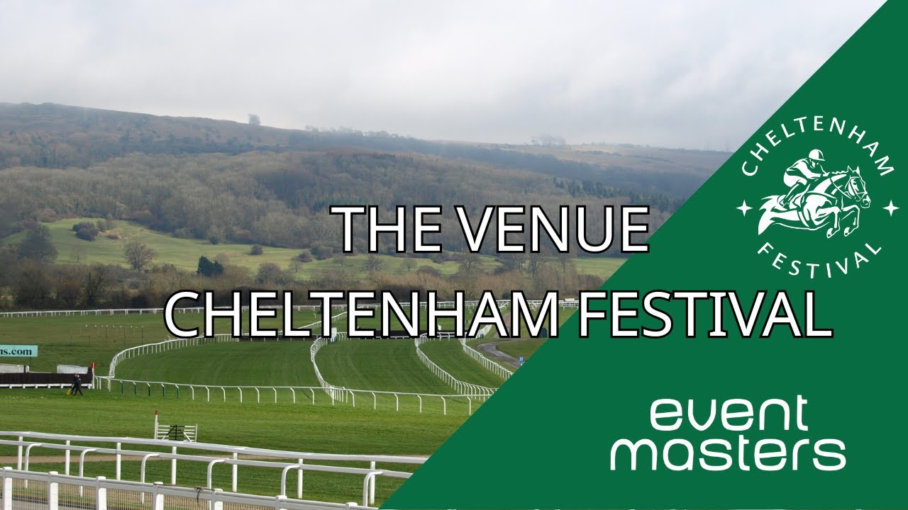 The Venue VIP Hospitality - Cheltenham Festival 🏇