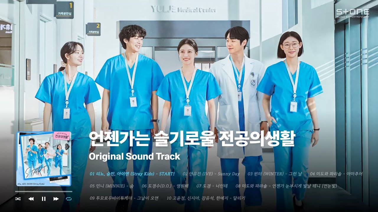 𝐏𝐥𝐚𝐲𝐥𝐢𝐬𝐭 💙푸른 청춘을 노래하는 언젠가는 슬기로울 전공의생활 OST 전곡 1시간 반복 듣기💙｜residentplaybook｜Stone Music Playlist