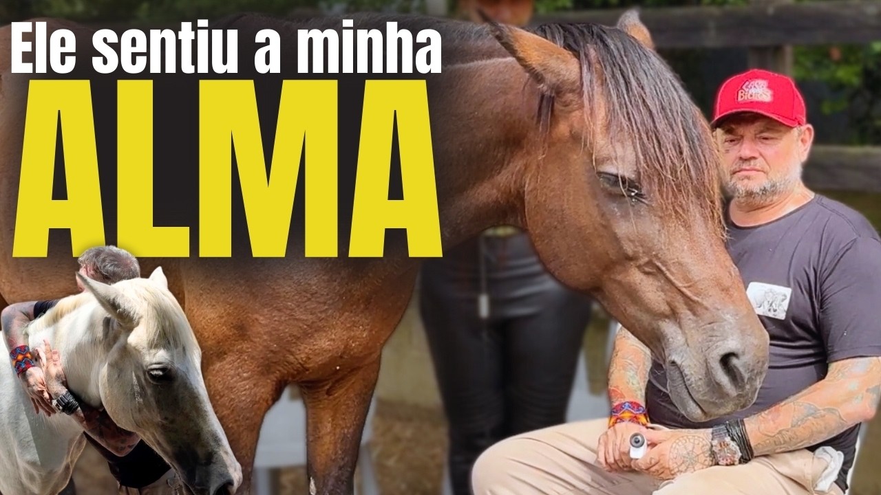 O PODER OCULTO DOS CAVALOS! A VERDADE QUE NINGUÉM TE CONTA!