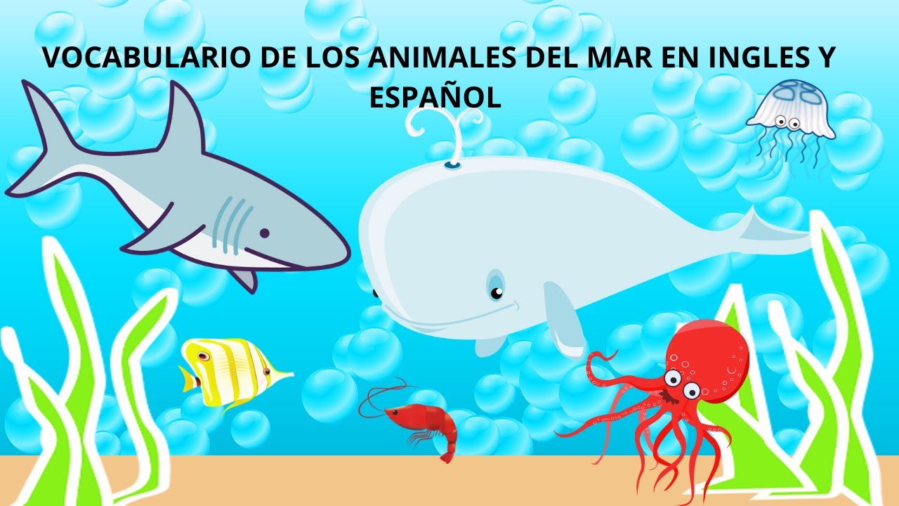 VOCABULARIO DE LOS ANIMALES DEL MAR EN INGLÉS Y ESPAÑOL/INGLÉS PARA NIÑOS/ANIMALES MARINOS