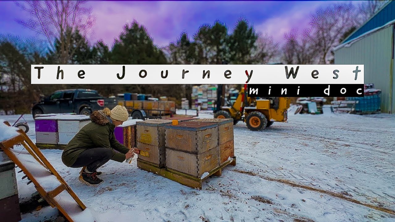 Behind the Scenes: Moving Bees as a Sideliner For Almond Pollination P2 / Beekeeping 101 #beekeeping