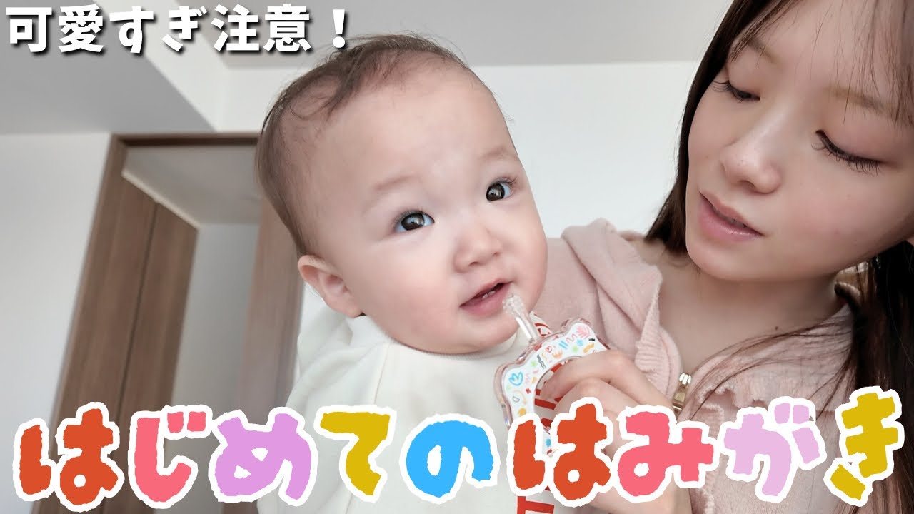 ミニぎしの初めての歯磨きに挑戦したら困惑しすぎてて可愛すぎた