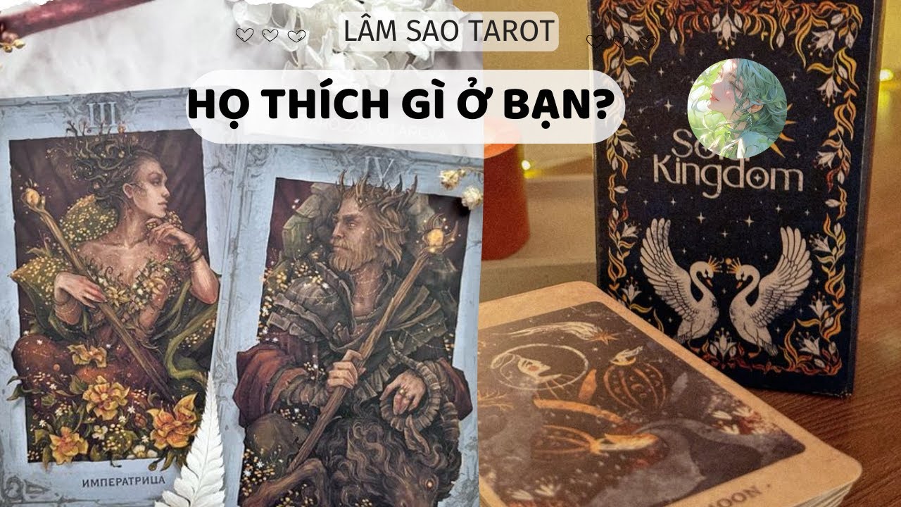 HỌ THÍCH GÌ Ở BẠN? LÂM SAO CHANNEL #tarot #love #trending