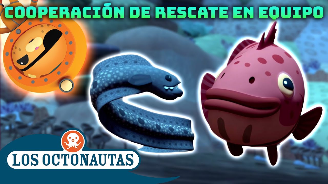 Los Octonautas - Cooperación de rescate en equipo | Episodios Completos