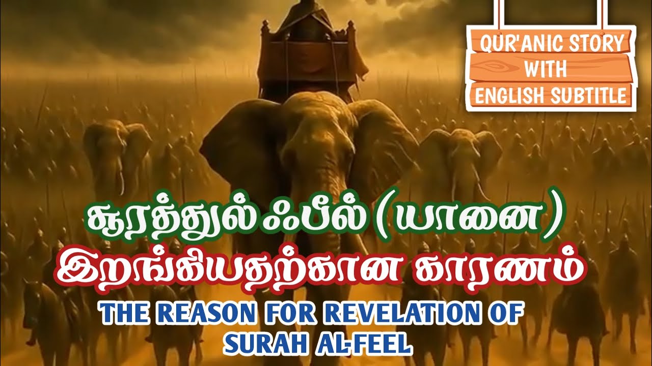 யானை படைக்கு என்ன நடந்தது? | அல்லாஹ் கஃபாவை எவ்வாறு பாதுகாத்தான்? | @DFDG050