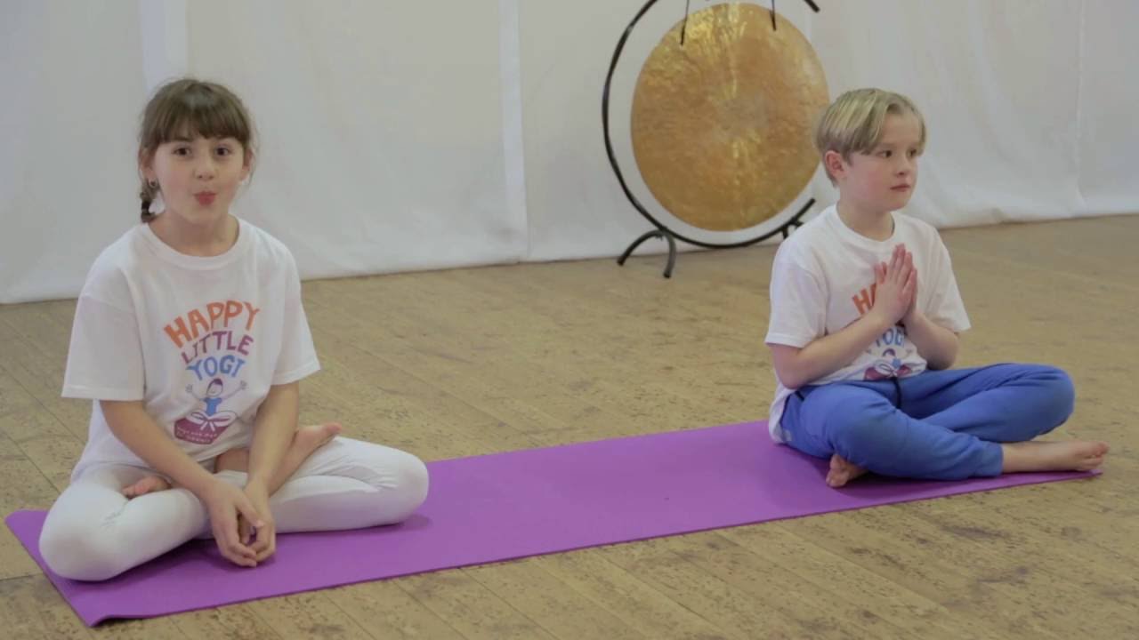 Happy Little Yogi DVD Trailer - DVD NOW AVAILABLE!