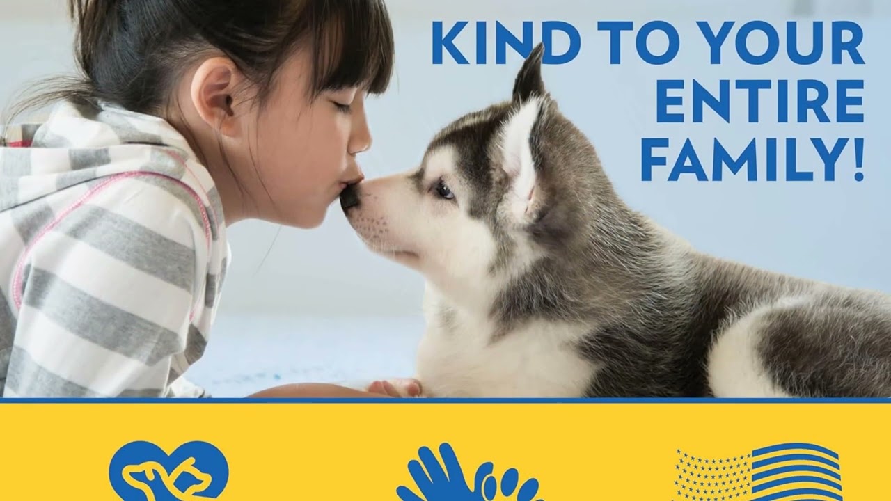 🐶🧻 OUT! XXL Petcare Puppy Pads – Heavy Duty Leak-Proof Potty Training for Puppies!