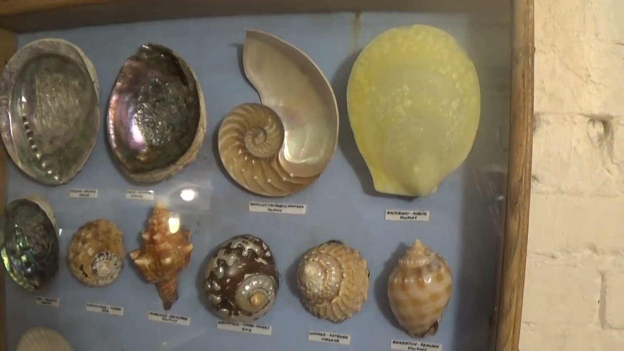 Ustka- Muzeum Mineraologiczne w schronie, bardzo ciekawe okazy.