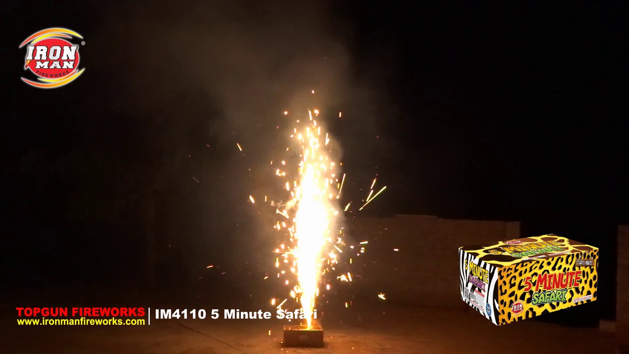 5 Minute Safari Fountain IM4110