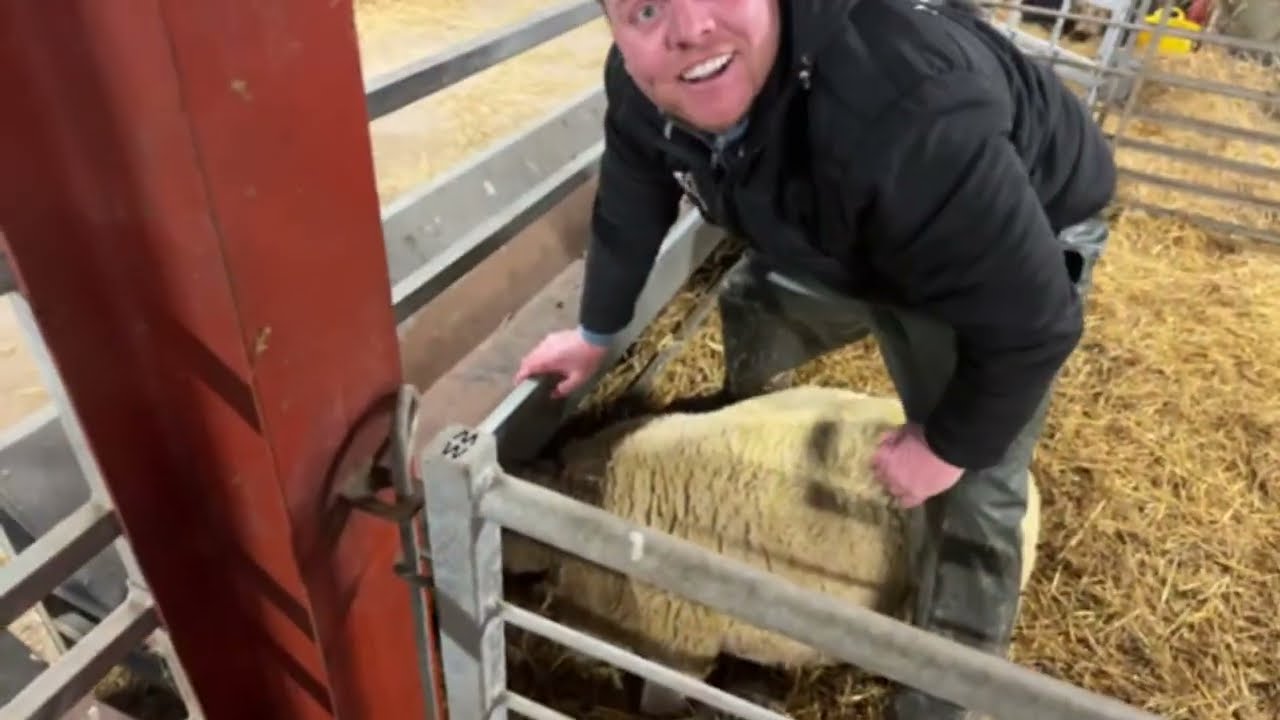We had to make a tough call today… updates on Archie and a huge farm shuffle