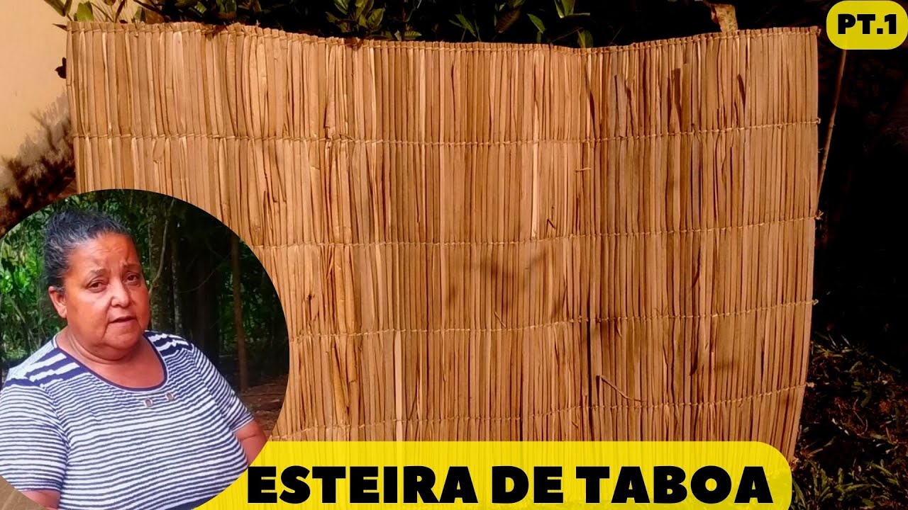 Fabricação da esteira de TABOA Parte 1 - Colhendo a taboa no brejo pro preparo