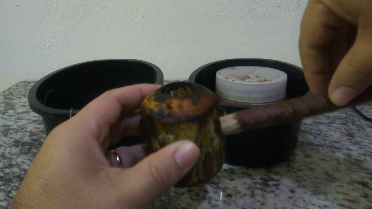 Defumação com o cachimbo