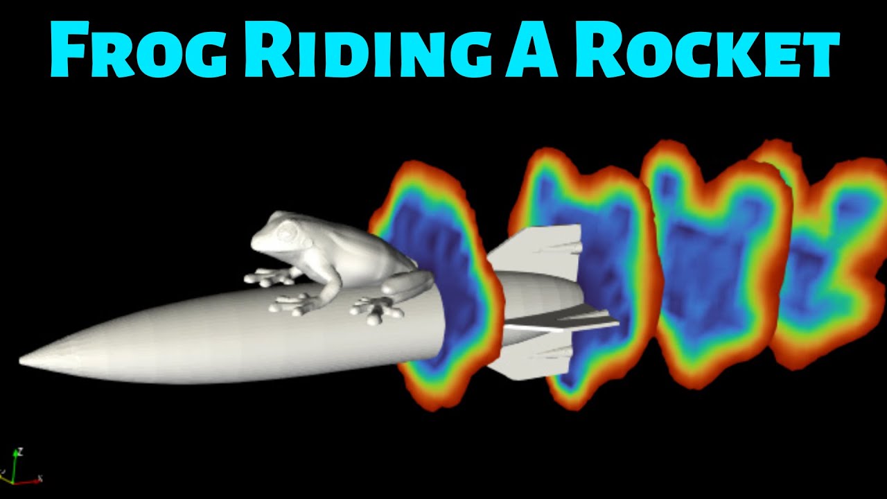 Aerodynamics of a frog riding a rocket