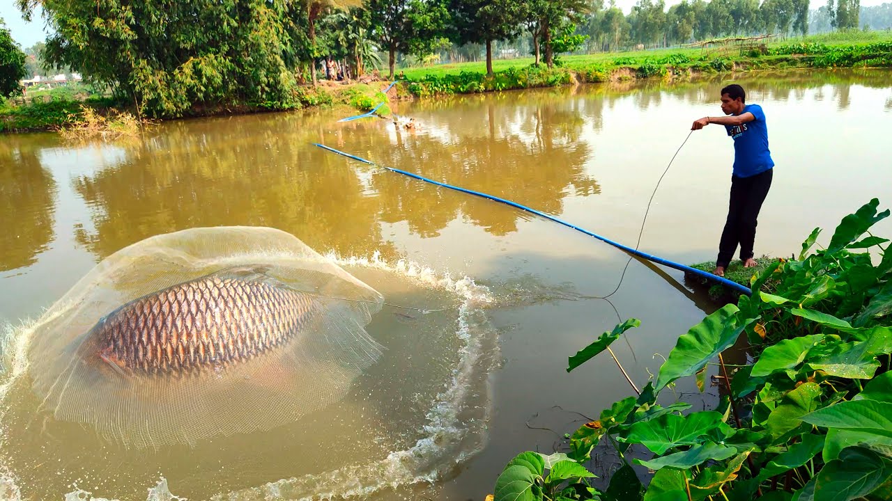 Cast Net Throw Amazing-Traditional Net Fishing in Village-Fishing With Cast Net ☑️@amfishing5873