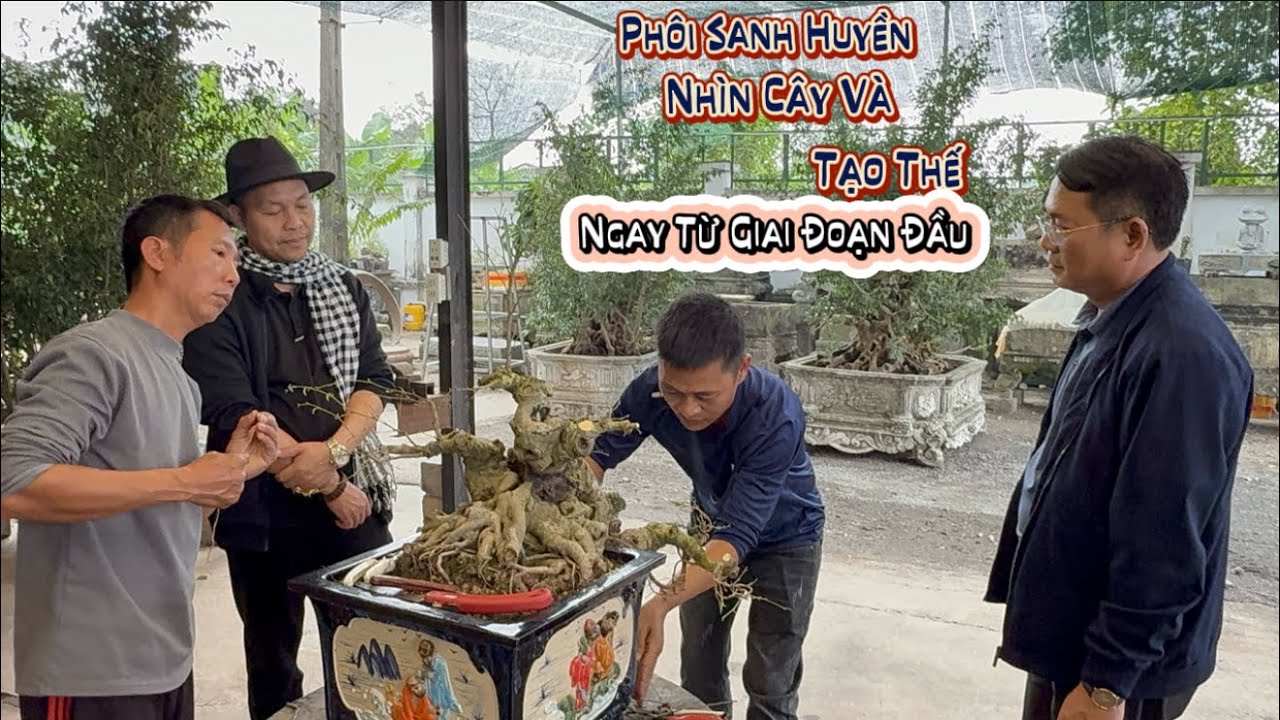 Định Hướng Bước Đầu Sanh Dáng Huyền: Cách Nhìn Cây & Tạo Thế Đúng Ngay Từ Đầu