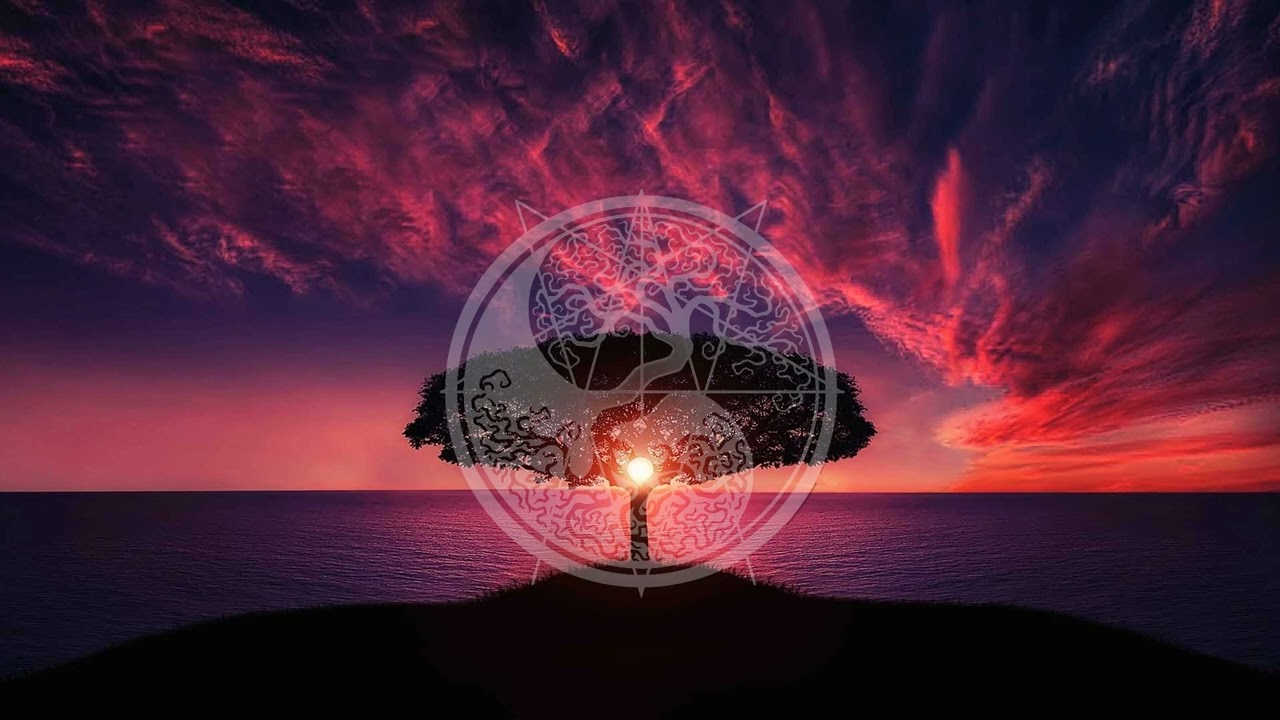 One Nation, Under Fraud A69